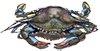 plateau-crabe-lapetitemaree
